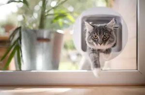 Cat Flap Fitters Retford Nottinghamshire