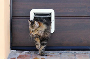 Cat Flap Fitters Winsford Cheshire