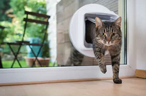 Cat Flap Fitters Poole Dorset