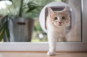 Cat Flap Fitters Reigate Surrey