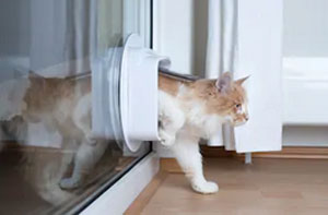 Cat Flap Fitters Windlesham Surrey