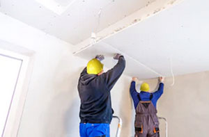 Ceiling Repair Old Basing (01256)